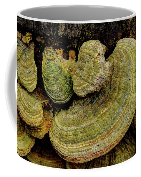 Fungus Coffee Mug featuring the photograph Fungus On The Log by Mike Eingle