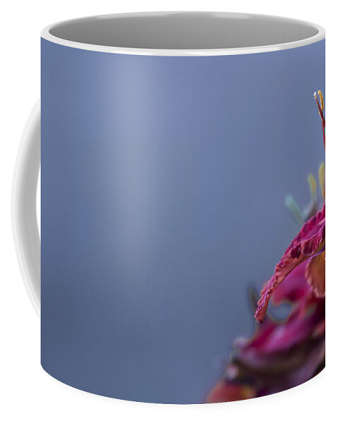 Fuchsia Coffee Mug featuring the photograph Fuchsia on Slate by Andrea Silies