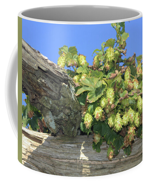 Hops Coffee Mug featuring the photograph Future Beer The Hops by Imagery-at- Work