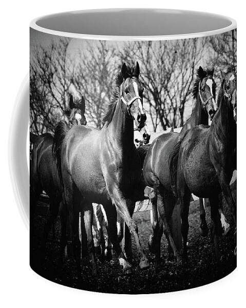 Horse Coffee Mug featuring the photograph Galloping horses by Dimitar Hristov