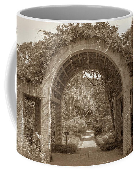 2017 Coffee Mug featuring the photograph Garden Arch by Darrell Foster