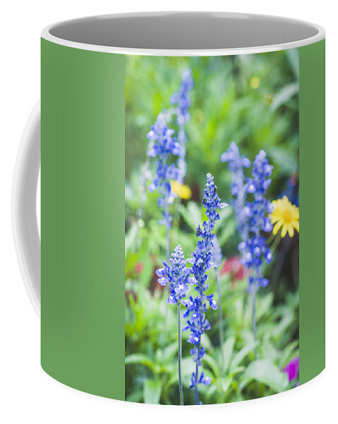 Garden Blues Coffee Mug featuring the photograph Garden Blues by Christi Kraft