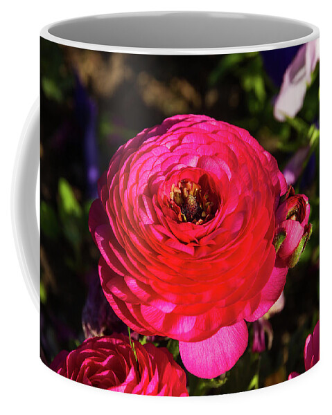 Flower Coffee Mug featuring the photograph Garden flowers - 2 by Paul MAURICE