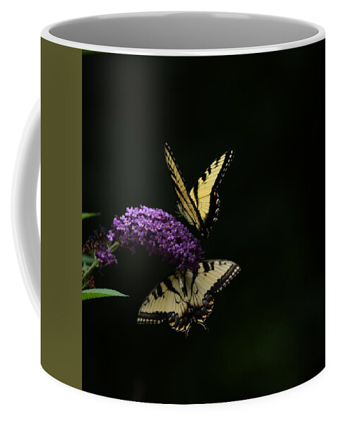 Butterfly Coffee Mug featuring the photograph Garden of Eden by Carolyn Mickulas
