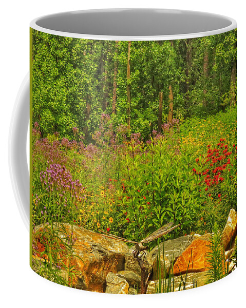  Robinson Nature Center Coffee Mug featuring the photograph Garden Rocks by Kathi Isserman