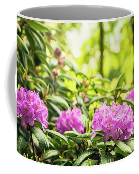 Purple Coffee Mug featuring the photograph Garden Rododendron bush by Sophie McAulay