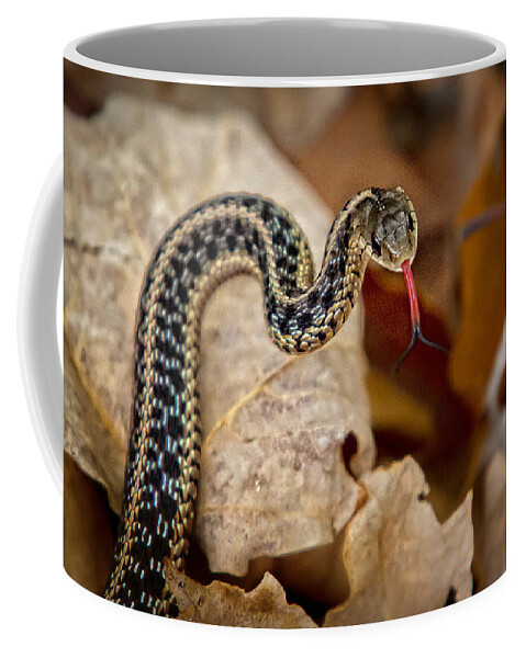 Snake Coffee Mug featuring the photograph Garden Snake by Eleanor Abramson