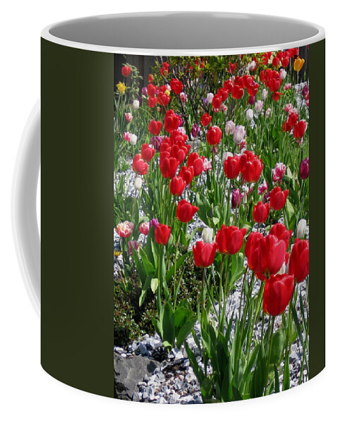 Tulip Coffee Mug featuring the photograph Gathering of Joy by Rory Siegel
