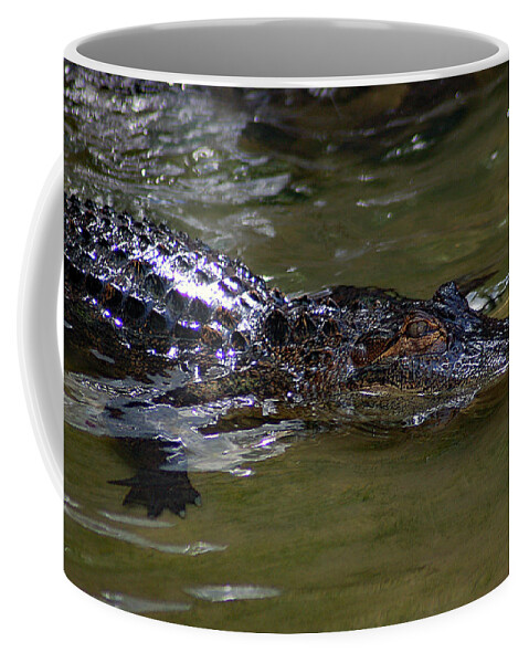 Photo Coffee Mug featuring the photograph Gator don't play by William Pullaro Jr