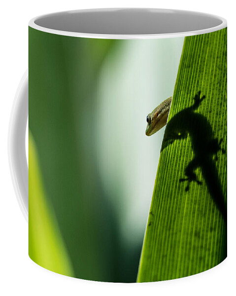 Gecko Coffee Mug featuring the photograph Gecko in the Morning Sun by Mark Rogers