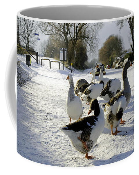 Europe Coffee Mug featuring the photograph Geese at the Frozen Horninglow Basin by Rod Johnson