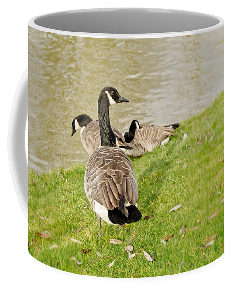 Goose Coffee Mug featuring the photograph Geese in Cambridge winter. by Elena Perelman