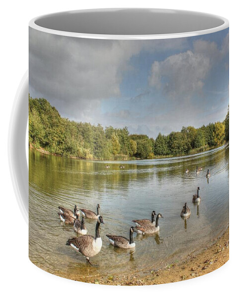 Texture Coffee Mug featuring the photograph Geese on the Lake HDR by Vicki Spindler