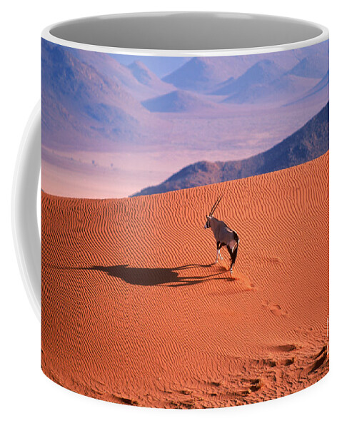 Gemsbok Coffee Mug featuring the photograph Gemsbok by Eric Hosking and Photo Researchers