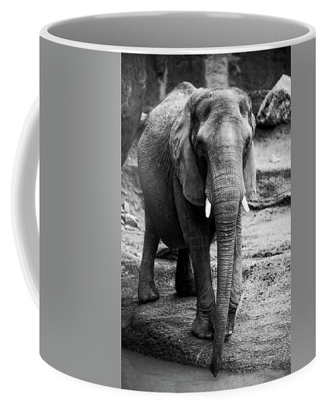 Elephant Coffee Mug featuring the photograph Gentle One by Karol Livote