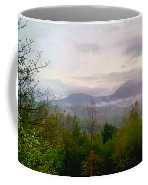 Nature Coffee Mug featuring the photograph Georgia Mountains by Brianna Kelly