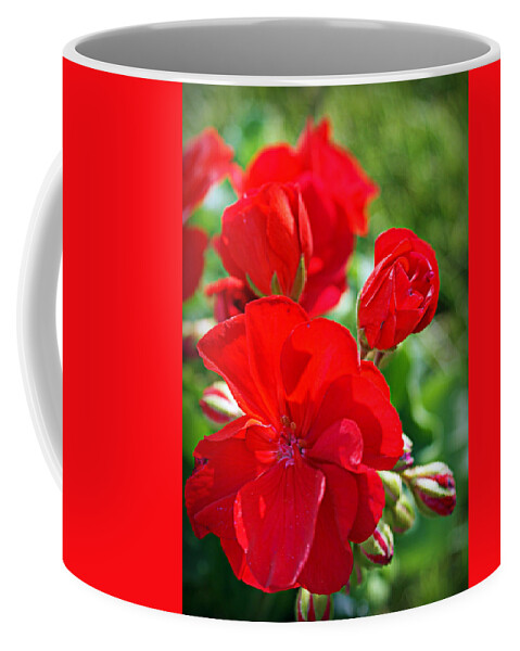 Red Coffee Mug featuring the photograph Geraniums by Cricket Hackmann