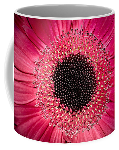 Flower Coffee Mug featuring the photograph Gerbera by Andreas Freund