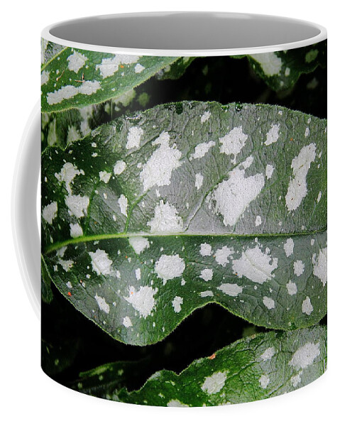 Plant Coffee Mug featuring the photograph Lungwort by Allen Nice-Webb