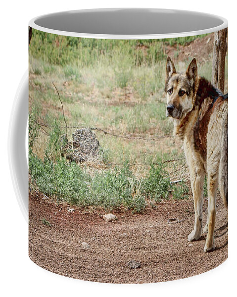 Dog Coffee Mug featuring the photograph German Shepherd by Nikolyn McDonald