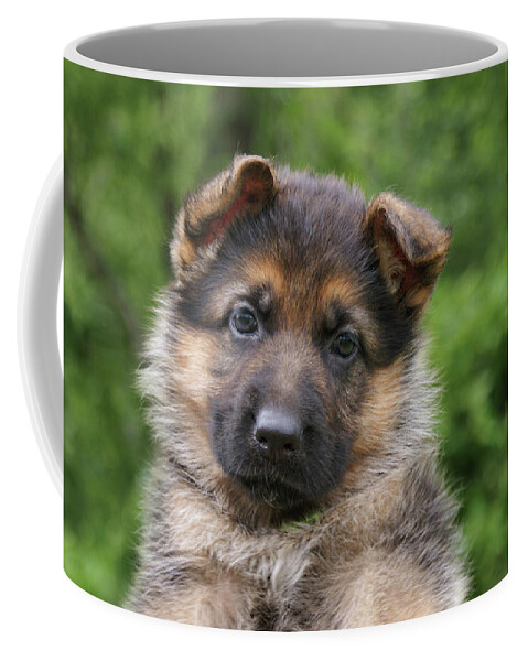 Black & Tan Puppy Coffee Mug featuring the photograph German Shepherd Puppy III by Sandy Keeton