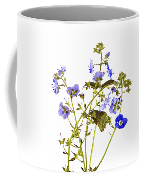 Flower Coffee Mug featuring the photograph Germander Speedwell by John Paul Cullen
