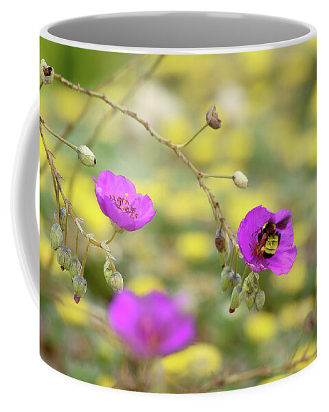 Bee Coffee Mug featuring the photograph Getting bee love by Camille Lopez