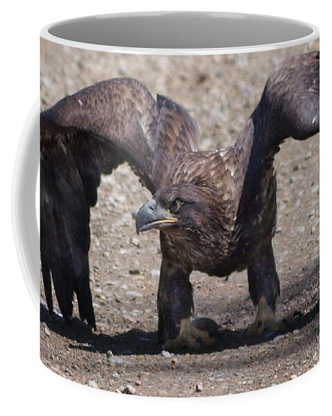 Eagle Coffee Mug featuring the photograph Getting Ready For Take-Off by Vivian Martin