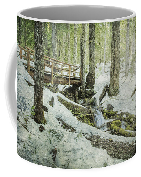 Woods. Bridge Coffee Mug featuring the photograph Getting Through the Hard Times by Belinda Greb