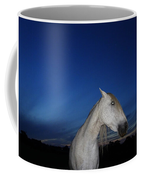 Horse Coffee Mug featuring the photograph Ghost Horse by Susan Baker