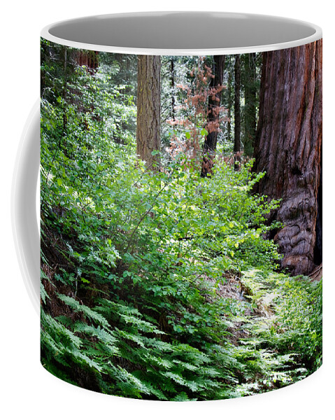 Ca Coffee Mug featuring the photograph Giant Among The Forest by Lana Trussell