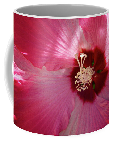 China Rose Coffee Mug featuring the photograph Giant Hibiscus by Mary Lee Dereske