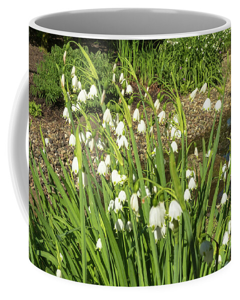 Giant Lilies Of The Valley By Marina Usmanskaya Coffee Mug featuring the photograph Giant lilies of the valley by Marina Usmanskaya