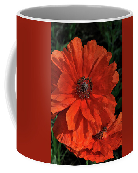 Flowers.poppy Coffee Mug featuring the photograph Giant Mountain Poppy by Ron Cline