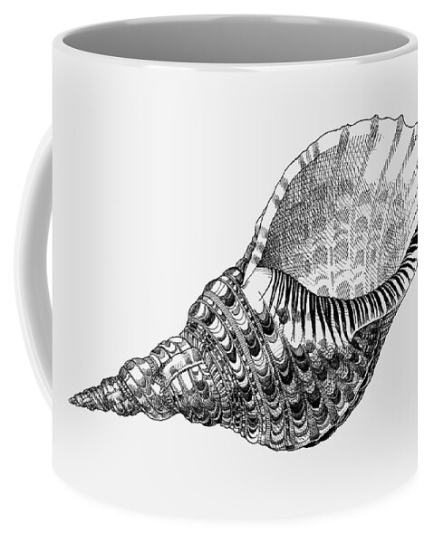 Triton Coffee Mug featuring the drawing Giant Triton Shell by Judith Kunzle
