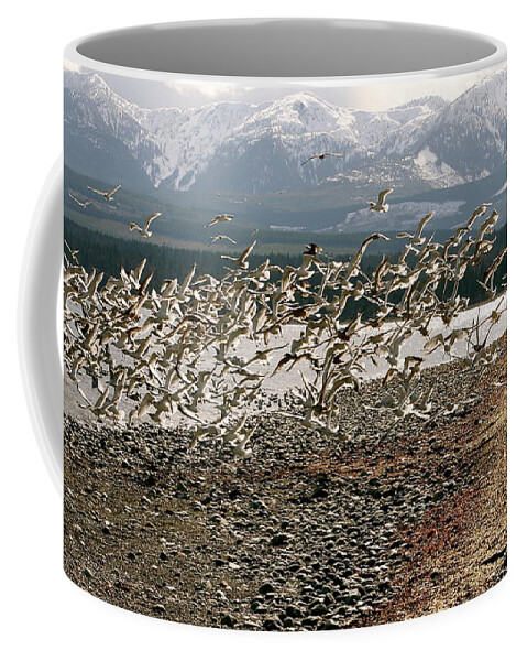 Herring Coffee Mug featuring the photograph Gift From The Sea by Alicia Kent