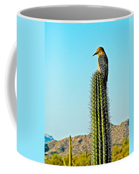 Gila Woodpecker On Saguaro Cactus In Organ Pipe Cactus National Monument Coffee Mug featuring the photograph Gila Woodpecker on Saguaro in Organ Pipe Cactus National Monument-Arizona by Ruth Hager