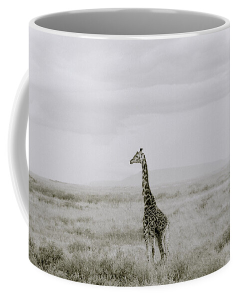 Africa Coffee Mug featuring the photograph Giraffe by Shaun Higson