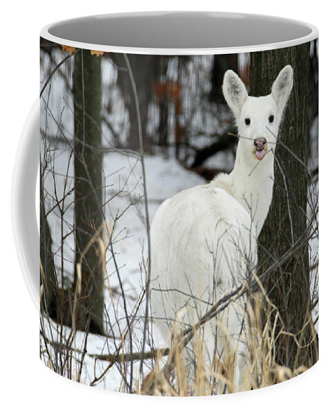 White Coffee Mug featuring the photograph Giving Raspberries by Brook Burling