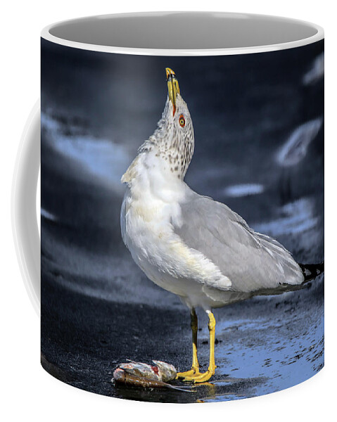 Thankful Coffee Mug featuring the photograph Giving Thanks by Ray Congrove