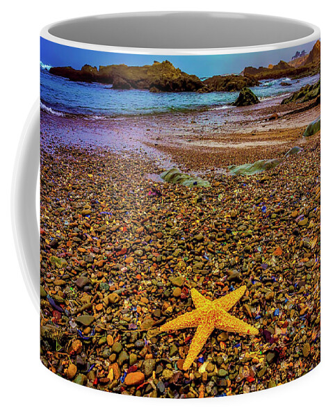 Starfish Coffee Mug featuring the photograph Glass Beach Starfish by Garry Gay