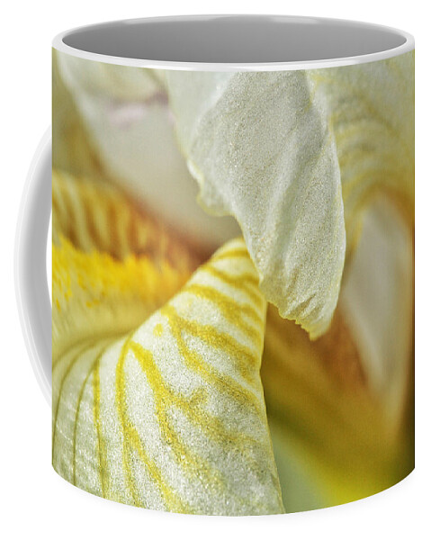 Connie Handscomb Coffee Mug featuring the photograph Glassworks by Connie Handscomb