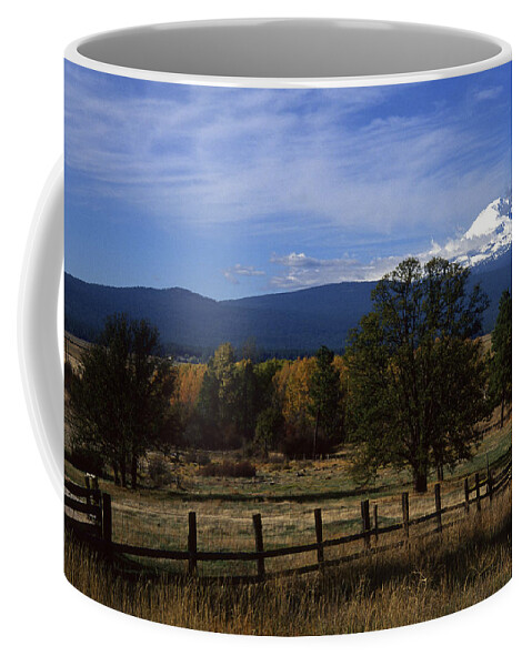 Adams Coffee Mug featuring the photograph Glenwood Autumn by Todd Kreuter