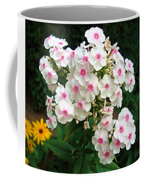 Flowers Coffee Mug featuring the photograph Glorious Summer Phlox by Natalie Holland