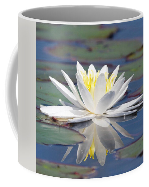 White Coffee Mug featuring the photograph Glorious White Water Lily by Michael Peychich