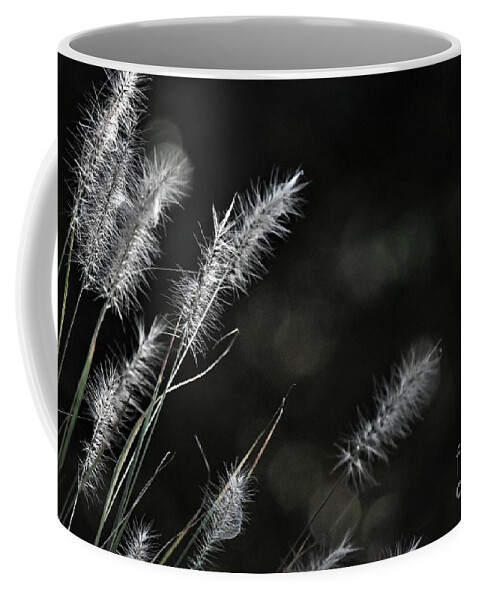 Fountain Grass Coffee Mug featuring the photograph Glowing Fountain Grass by Julie Adair