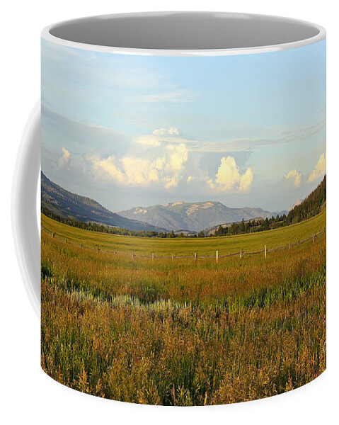 Meadow Coffee Mug featuring the photograph Glowing Meadow by Teresa Zieba