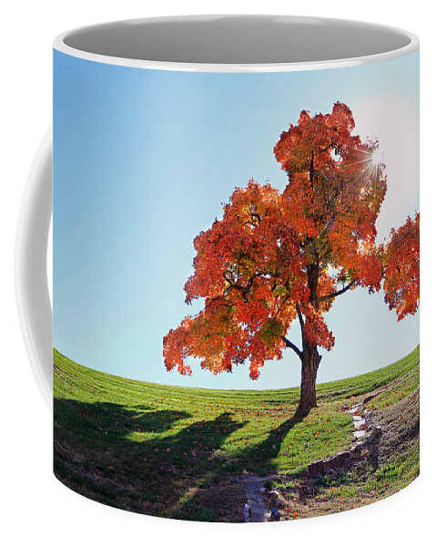 Tree Coffee Mug featuring the photograph Glowing Tree by Christopher McKenzie