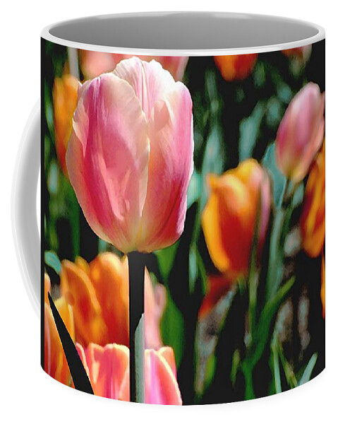 Tulips;flowers;garden Plants;garden;spring Garden;botanical Garden Coffee Mug featuring the photograph Glowing Tulips by Janis Senungetuk