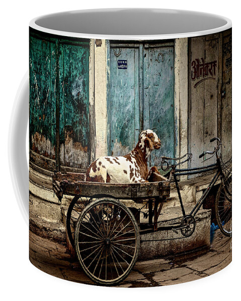 Goats Coffee Mug featuring the photograph Goat on Wheels by Valerie Rosen